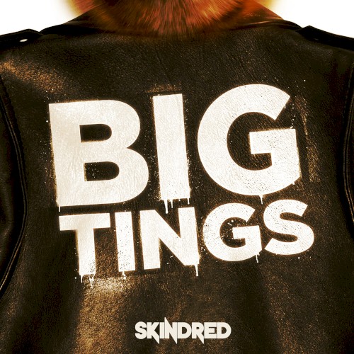 Big Tings封面
