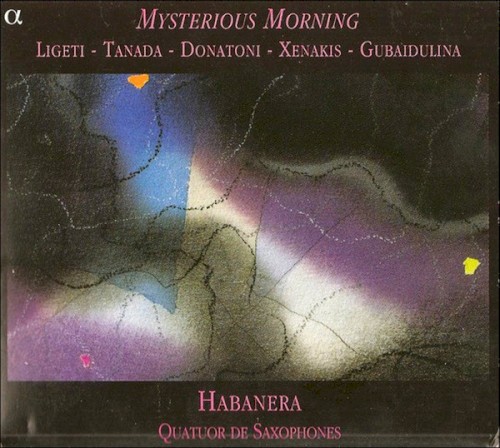 Mysterious Morning封面