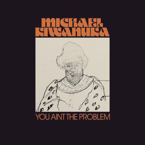 You Ain't the Problem封面