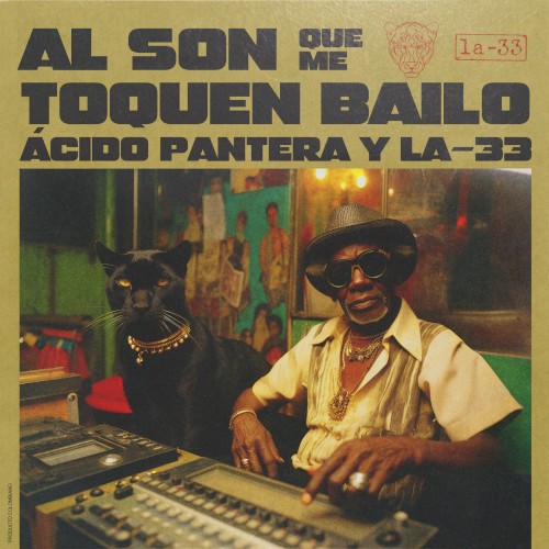 Al son que me toquen bailo封面