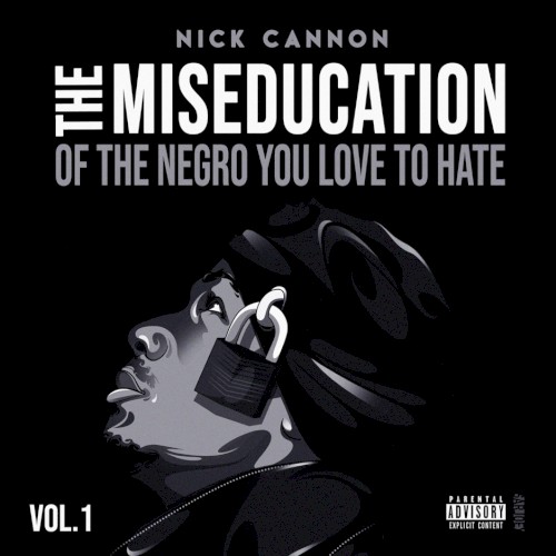 The Miseducation of the Negro You Love to Hate封面