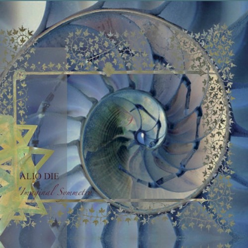 Imaginal Symmetry封面