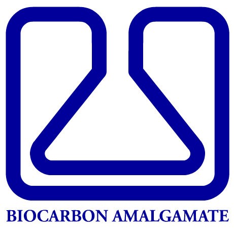 Biocarbon Amalgamate封面