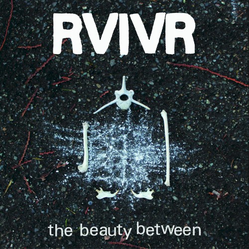The Beauty Between封面