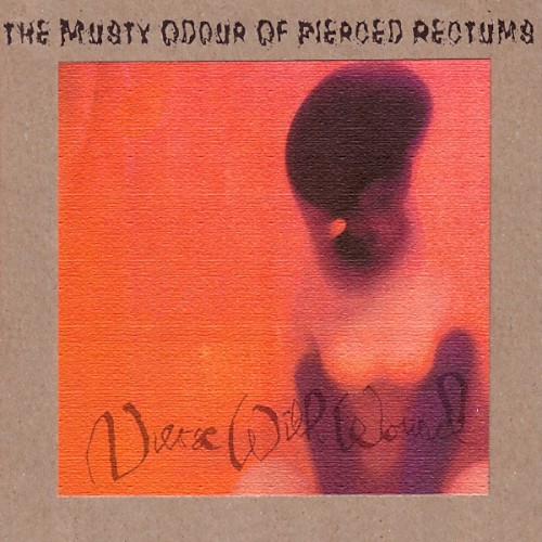 The Musty Odour of Pierced Rectums封面