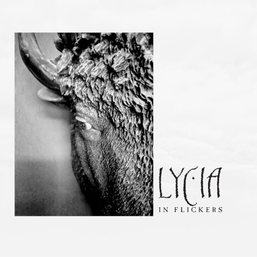 In Flickers封面