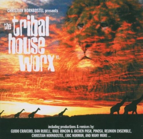 The Tribal House Worx V1封面
