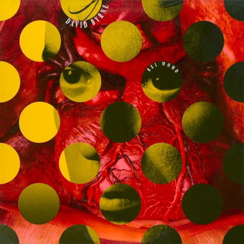 Rei Momo封面