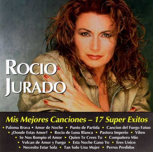 Mis Mejores Canciones - 17 Super Exitos封面