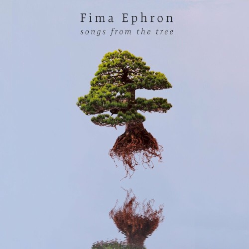 Songs From The Tree封面