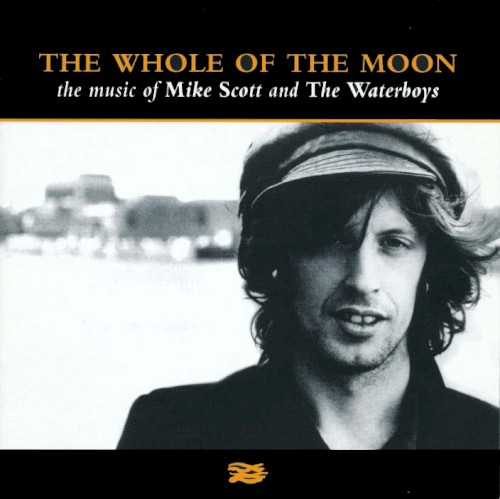 The Whole of the Moon: The Music of Mike Scott and The Waterboys封面