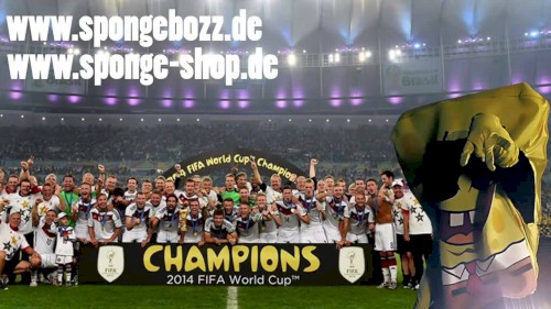 Weltmeister 2014封面