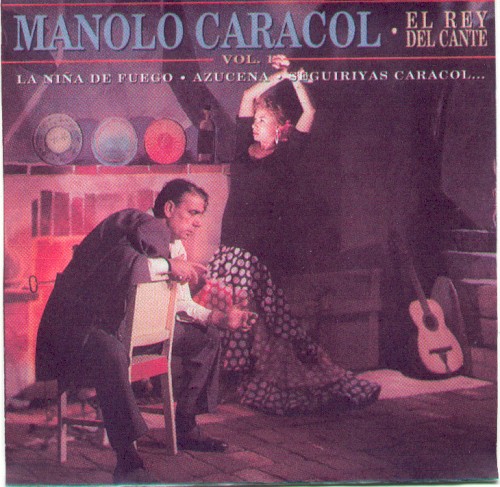 El rey del cante封面