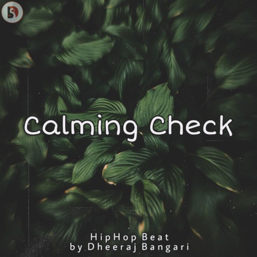 Calming Check (HipHop Beat)封面