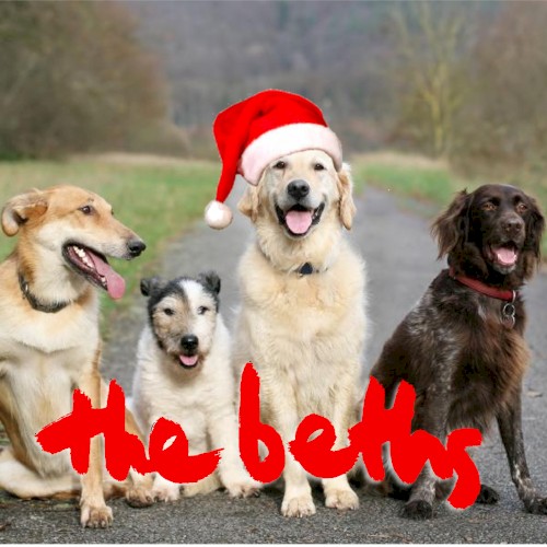 Have Yourself a Merry Little Christmas (live at Leigh Sawmill)封面