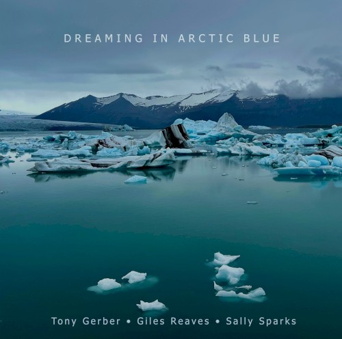 Dreaming in Arctic Blue封面