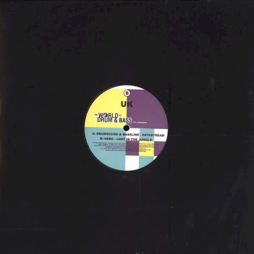 Datastream / Lost in the Jungle封面