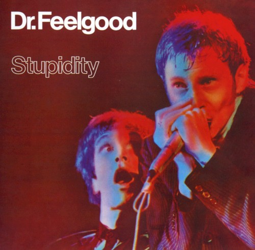 Stupidity封面