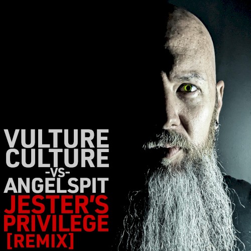 Jester's Privilege (Vulture Culture remix)封面