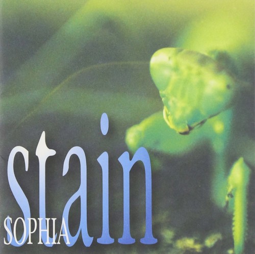 stain封面