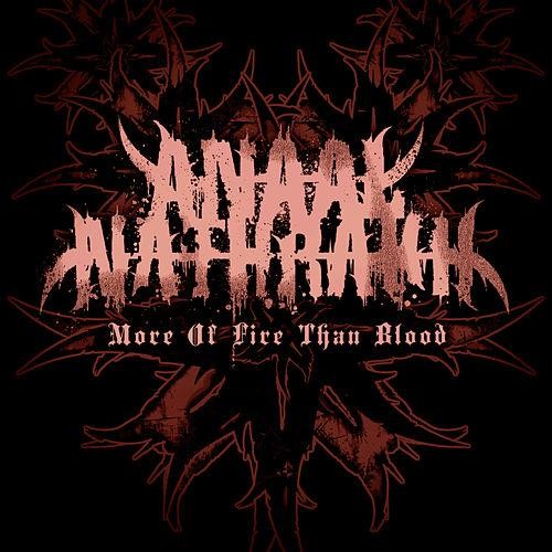 More of Fire Than Blood封面