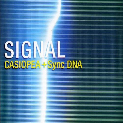 Signal封面