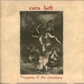 Tragedy of the Commons封面