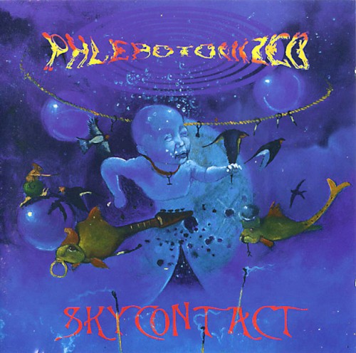 Skycontact封面