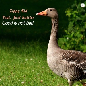 Good Is Not Bad封面