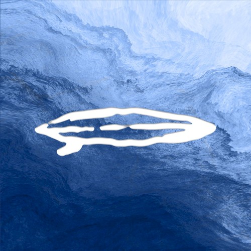 Ocean封面