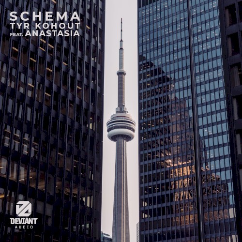 Schema封面