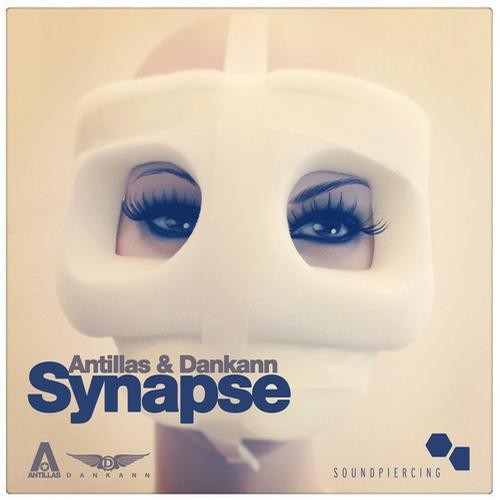 Synapse封面