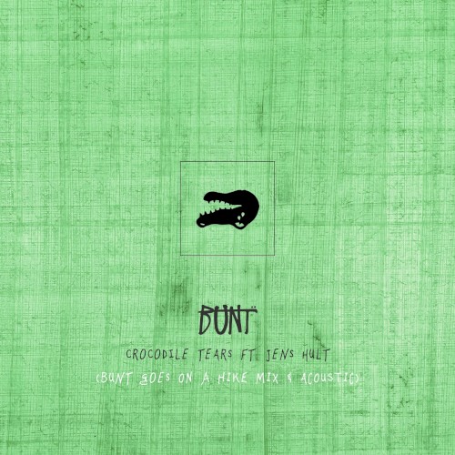 Crocodile Tears (remix and acoustic edit)封面