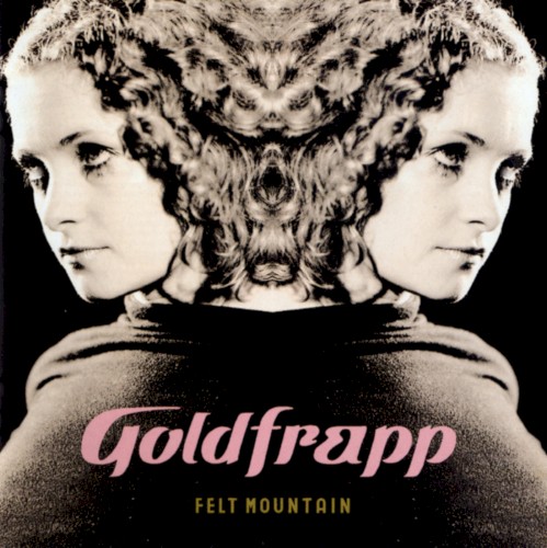 Felt Mountain封面