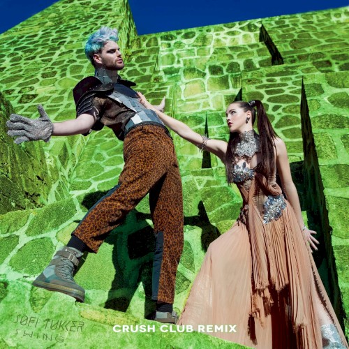 Swing (Crush club remix)封面