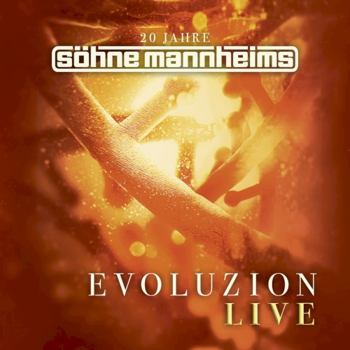 Evoluzion (Live)封面