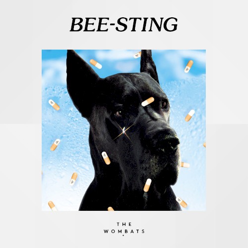 Bee-Sting封面