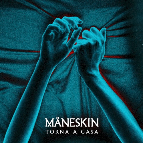 Torna a casa封面