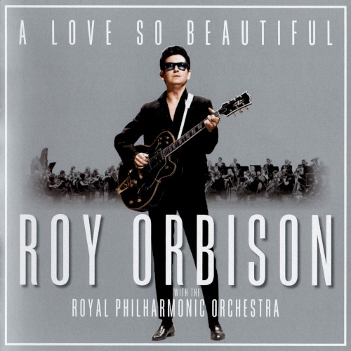 A Love So Beautiful封面