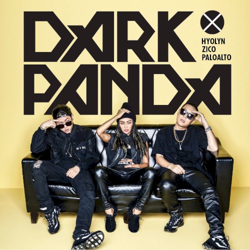 DARK PANDA封面