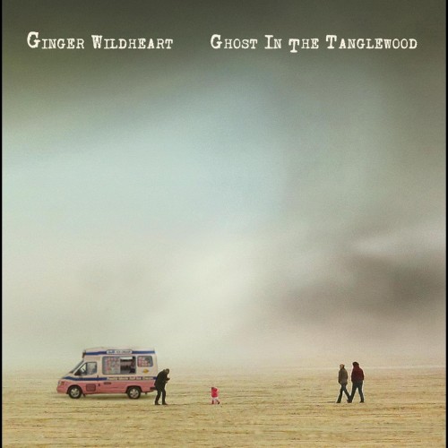 Ghost in the Tanglewood封面