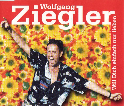 Will dich einfach nur lieben封面