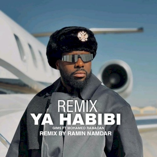 YA HABIBI (REMIX Ramin Namdar)封面