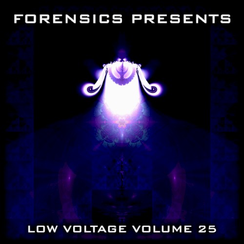Low Voltage Volume 25封面