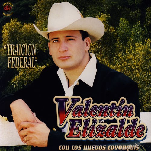 Traición federal封面