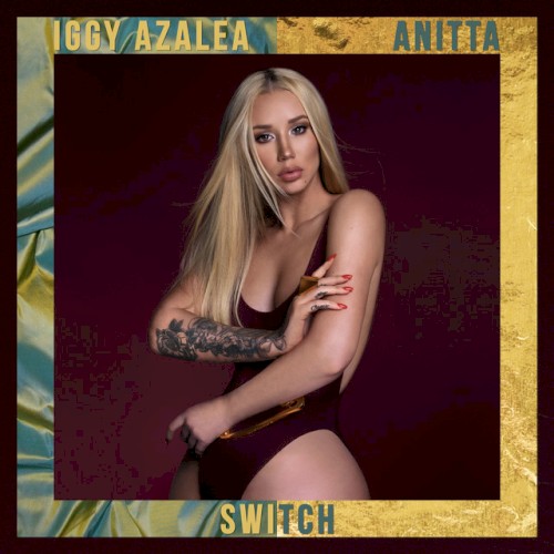 Switch封面