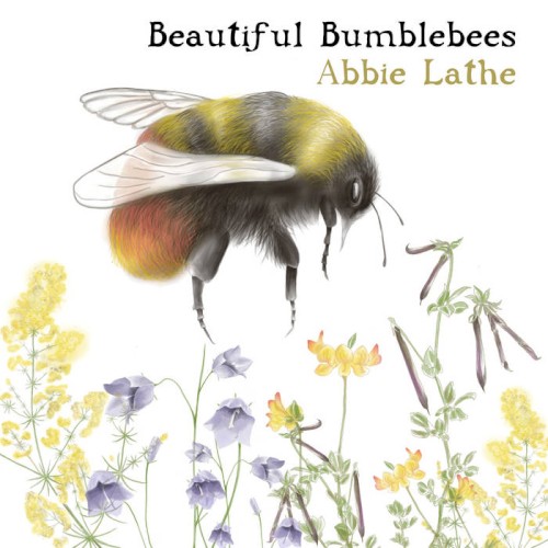 Beautiful Bumblebees封面