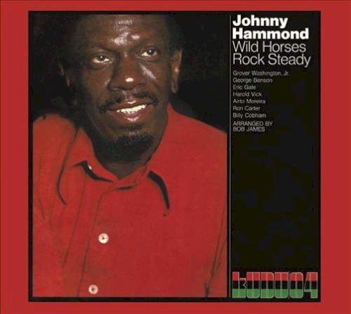 Wild Horses/Rock Steady封面