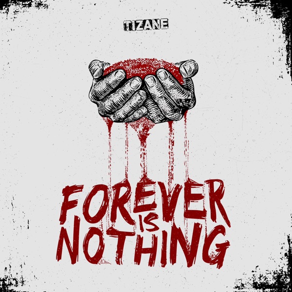 Forever Is Nothing封面