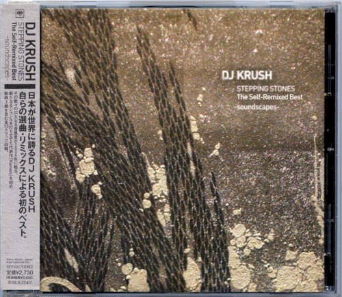 Stepping Stones: The Self-Remixed Best -Soundscapes-封面